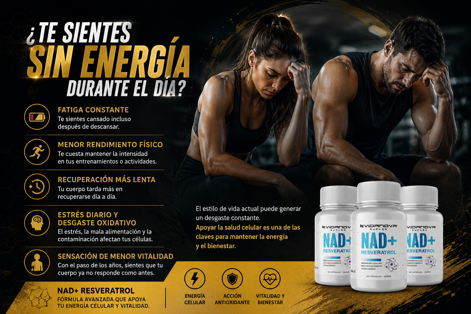 Encabezado